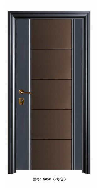 Luxury steel doors