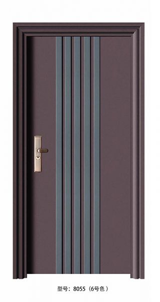 Luxury steel doors