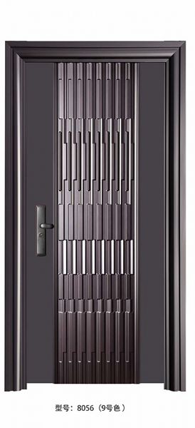 Luxury steel doors