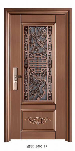 Luxury steel doors