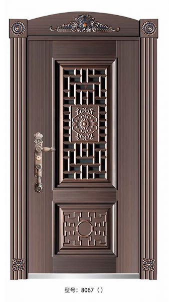 Luxury steel doors