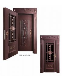 Luxury steel doors