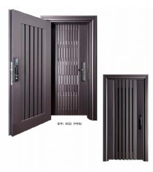 Luxury steel doors