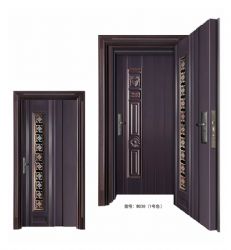 Luxury steel doors