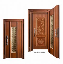 Luxury steel doors