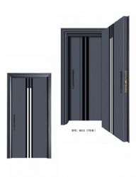 Luxury steel doors