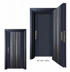 Luxury steel doors