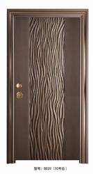 Luxury steel doors