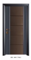 Luxury steel doors