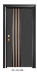 Luxury steel doors