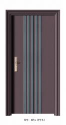 Luxury steel doors