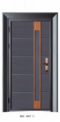 Luxury steel doors