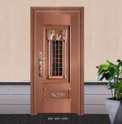 Luxury steel doors