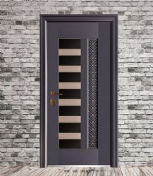 Luxury steel doors