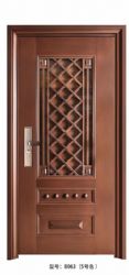 Luxury steel doors