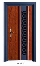 Luxury steel doors