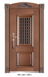 Luxury steel doors