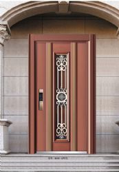 Luxury steel doors